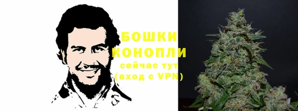 мдпв Майский