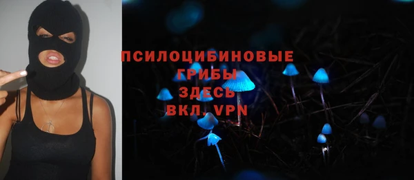 мдпв Майский